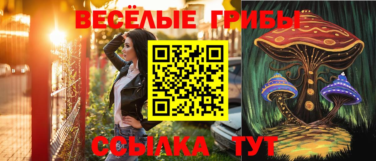 Галлюциногенные грибы Cubensis  где найти наркотики  Вход с VPN  Георгиевск  Галлюциногенные грибы прущие грибы 