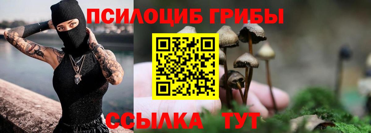 Псилоцибиновые грибы GOLDEN TEACHER Георгиевск