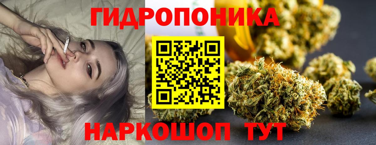 Конопля SATIVA & INDICA Георгиевск